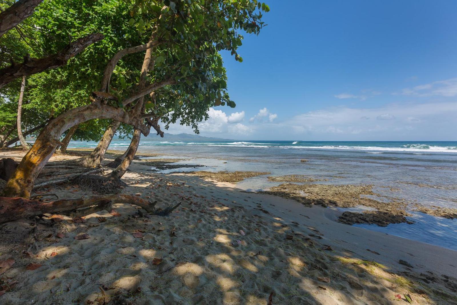 Yucca Beachfront Hotel Puerto Viejo de Talamanca Экстерьер фото